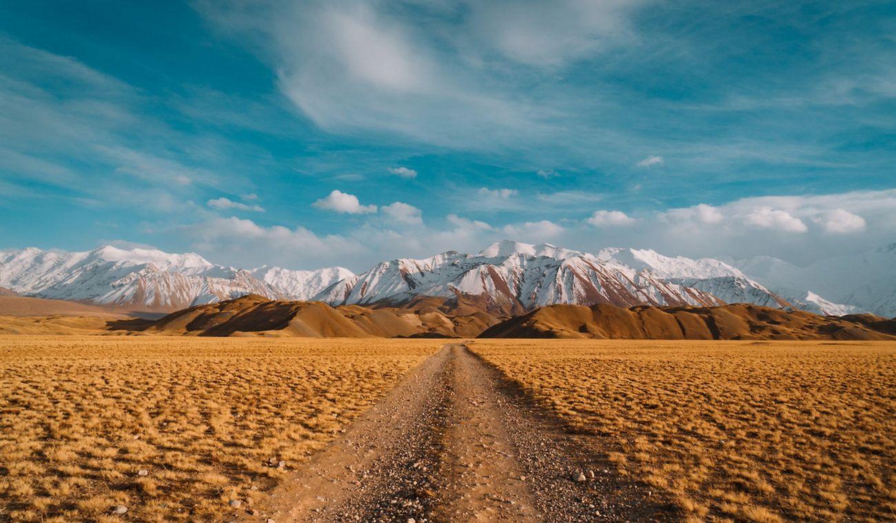 gestion-etiquetaje-sap