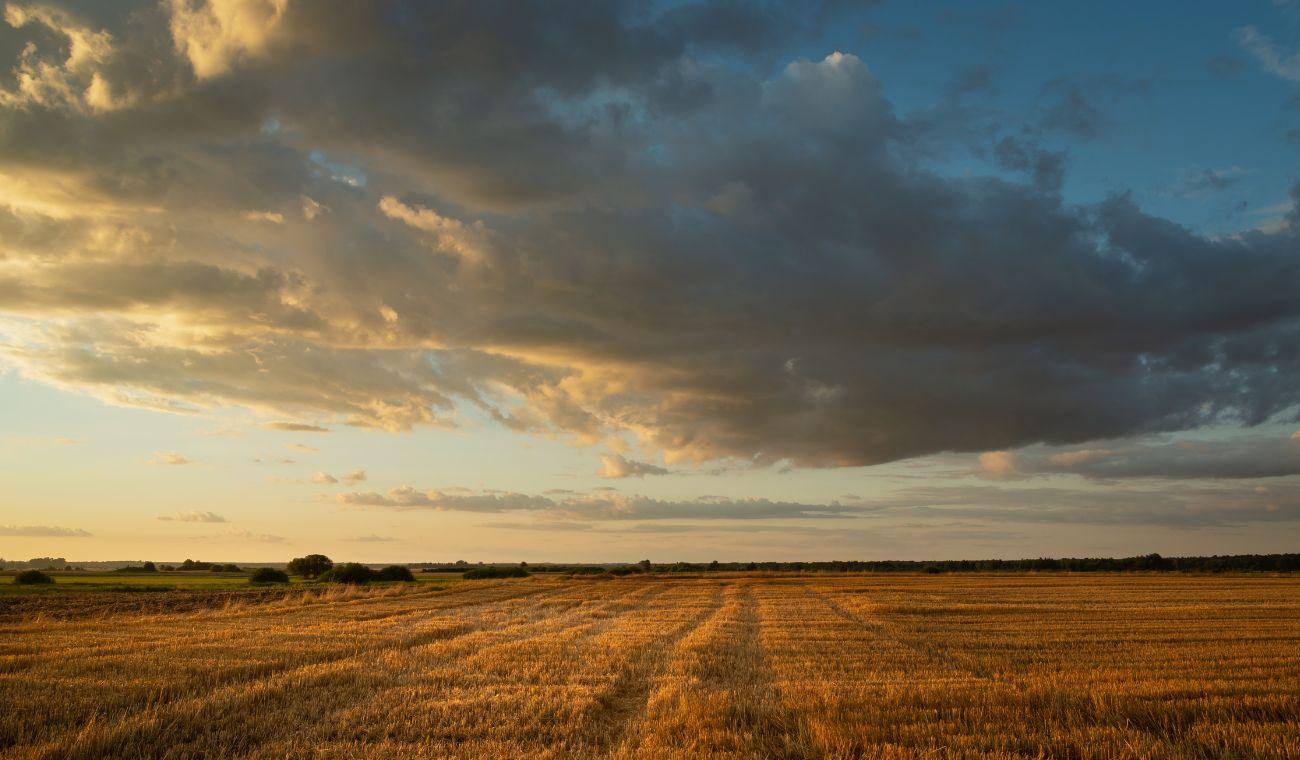 gestion-etiquetaje-sap